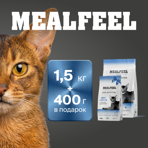 Акция от Mealfeel в «Четыре Лапы»