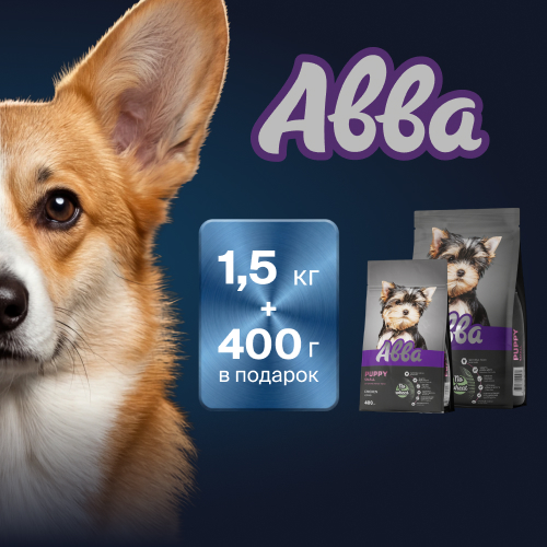 Акцией от «Авва» в «Четыре Лапы»