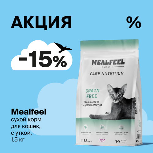 -15% на корм Mealfeel для кошек в магазине «Четыре Лапы»