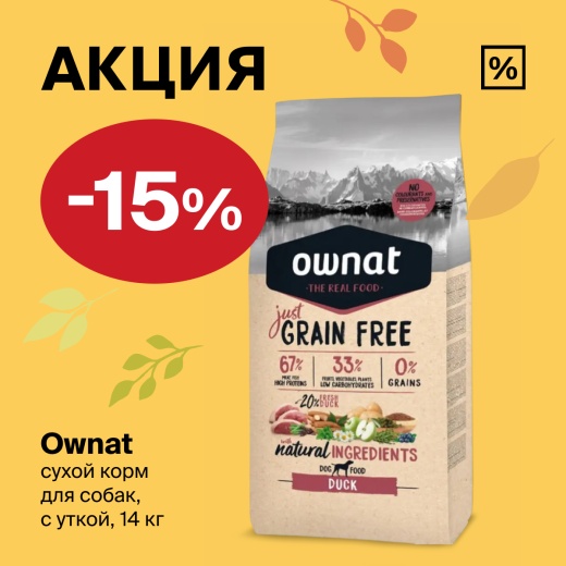В Четыре Лапы -15% на сухой корм для собак
