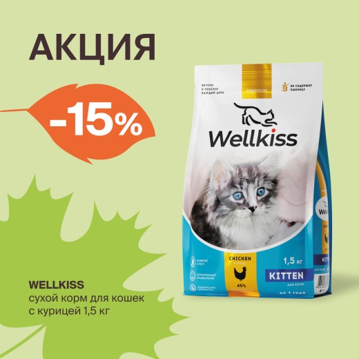Wellkiss: -15% на сухой корм для кошек в Четыре Лапы