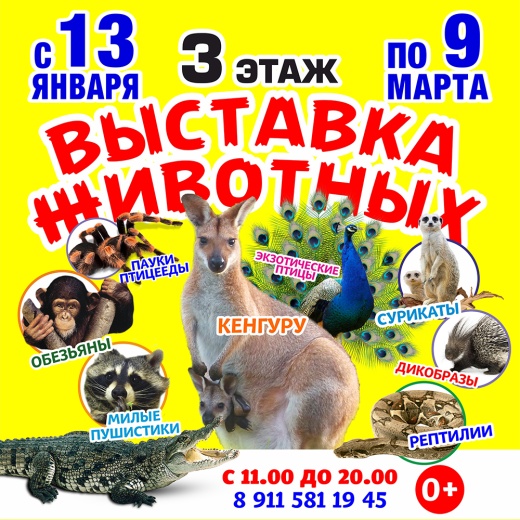 Приглашаем на Выставку экзотических животных