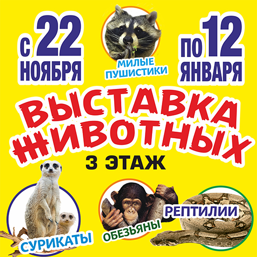Выставка животных