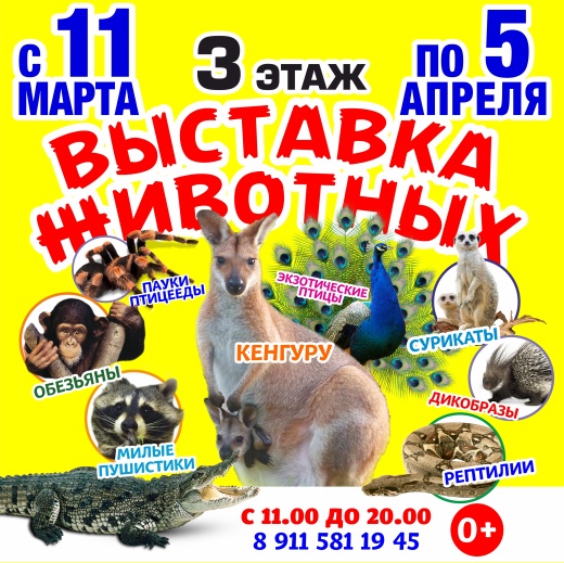 Приглашаем на Выставку экзотических животных
