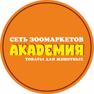 Академия